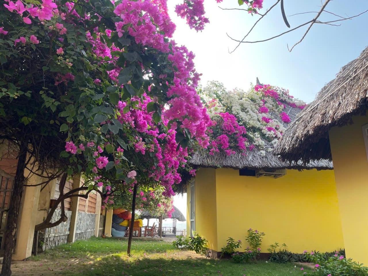 Orchid Boutique Beach Resort Phan Thiet Dış mekan fotoğraf